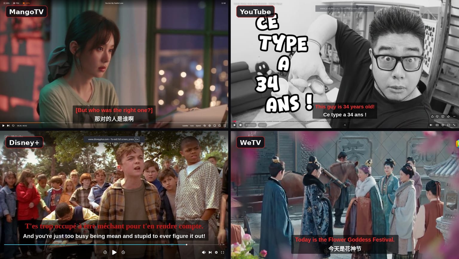 Dual subtitles running on four different sites at once: MangoTV with English over Chinese, YouTube with English over French, Disney+ with French over English, and WeTV with English over Chinese.